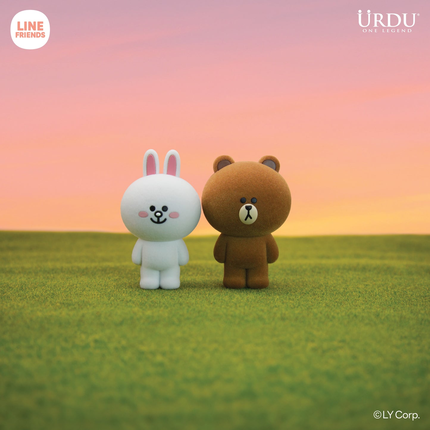 Line Friends Meets Urdu Flocking Series