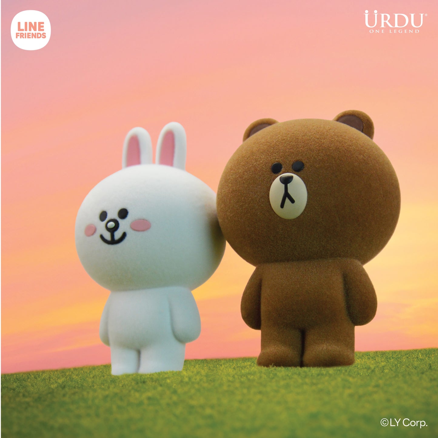 Line Friends Meets Urdu Flocking Series