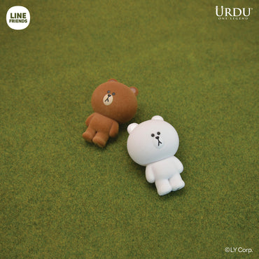 Line Friends Meets Urdu Flocking Series