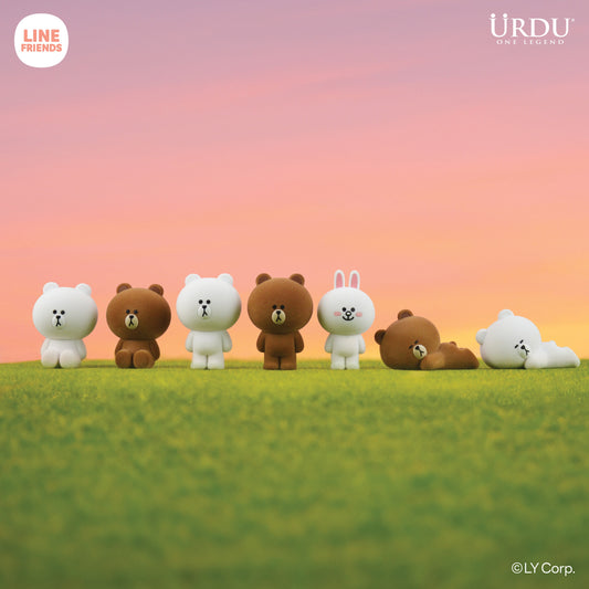 Line Friends Meets Urdu Flocking Series